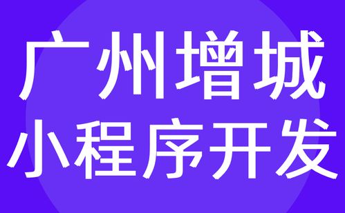 廣州增城區(qū)小程序開發(fā) 微信定制 外包服務(wù)商 紅匣子科技